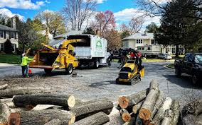  Windsor, VA Tree Services Pros