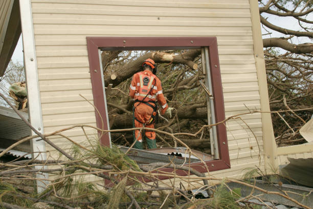 Leaf Removal in Windsor, VA